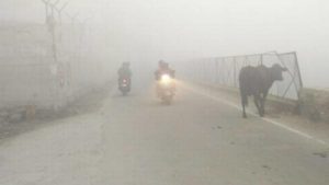 Delhi Fog 2018