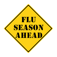 Flu 2018