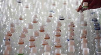 Chemical BPA found in the digestive system of 86% teenagers