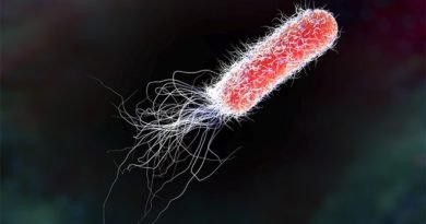 E. Coli Infection Breaks out in 7 states E. Coli Infection Breaks out