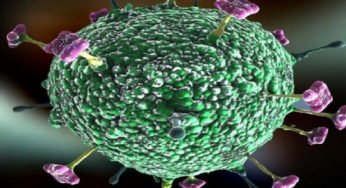 Nipah Virus: Everything you need to know