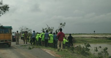 Cyclone Gaja hits the coast of Tamil Nadu The aftermath of cyclone Gaja is seen in Tamil Nadu