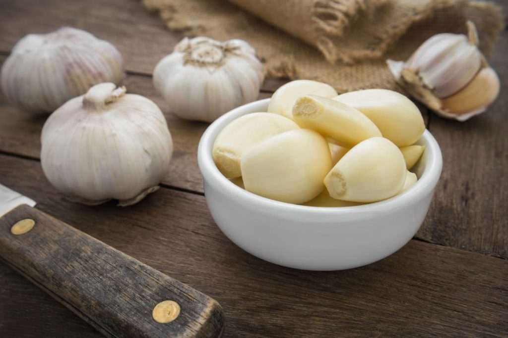 Garlic Gut health