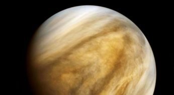 Phosphine on Venus: does it mean life beyond Earth exists?