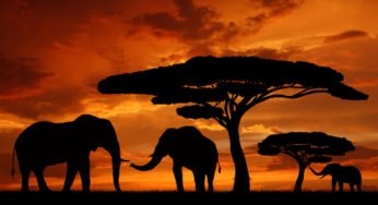 This Map will Change the Way You See Africa