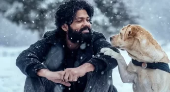 777 Charlie Movie Box Office Collection, Review, Story and Cast