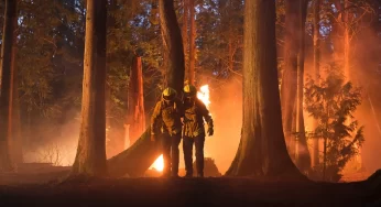 CBS’ Fire Country a Captivating Story about Inmate Firefighters