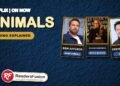 Animals (Netflix 2026): Cast, Ending Explained, Is It a True Story?