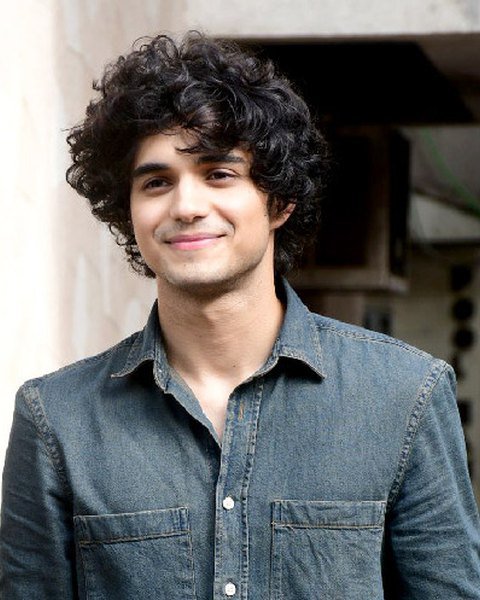 Abhay Verma, cast member of King